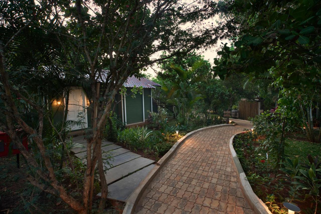 Larisa Resort Ashwem 만드렘 외부 사진